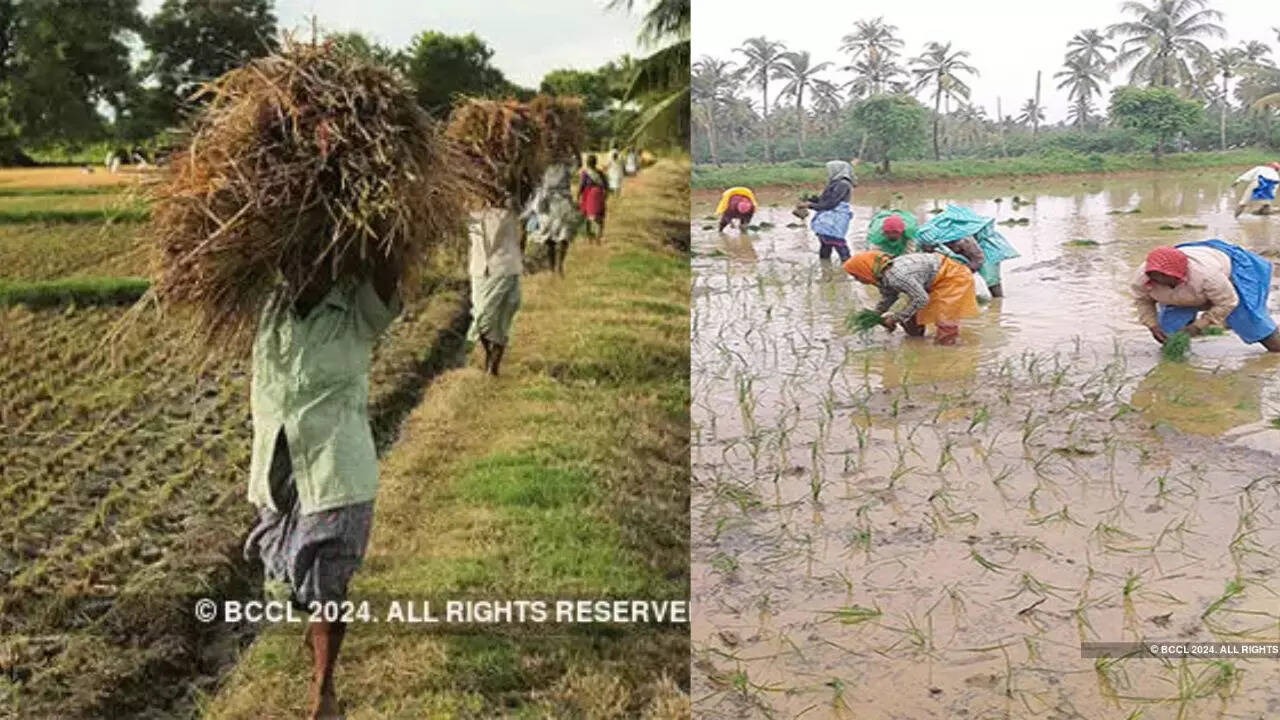 Interest Free Crop Loan Scheme