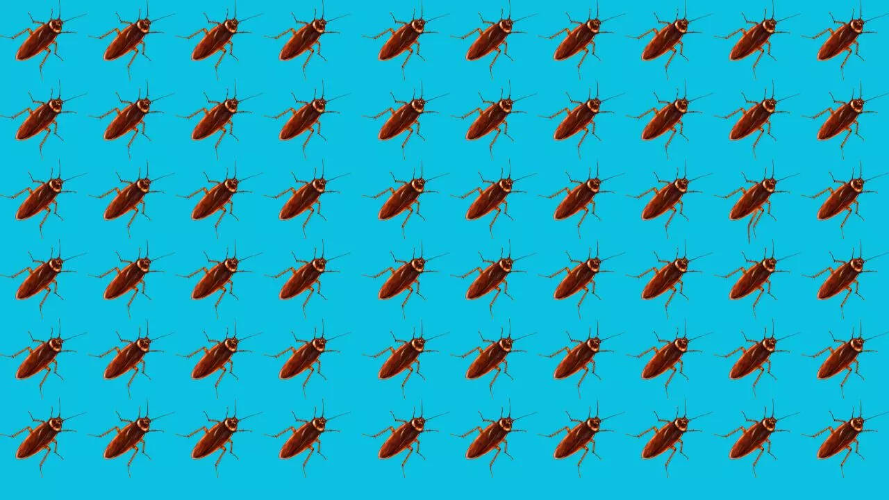 Optical Illusion Eye Test