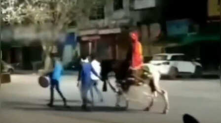 घोड़ी पर दूल्हा तो आया मगर बारात गायब हो गई, वायरल हुआ शादी का गजब VIDEO