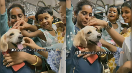 Viral Video: मुंबई लोकल में सफर करते Dog का वीडियो वायरल, क्‍यूटनेस पर मिले कुछ ऐसे रिएक्‍शन