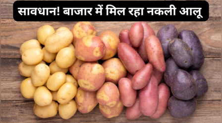 हे भगवान! अब आलू में भी मिलावट, खाद्य विभाग की छापेमारी में मिला 21 क्विंटल नकली आलू, FSSAI ने बताया पहचान का आसान तरीका