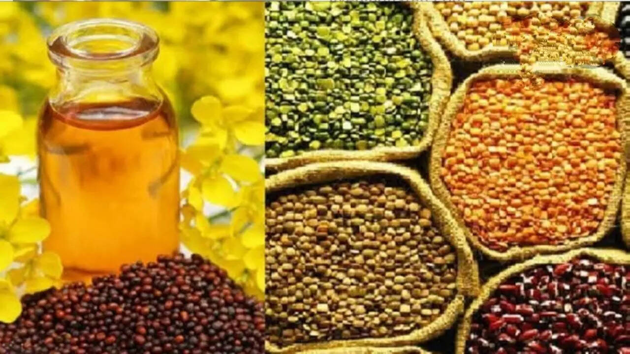 Oil Seeds Prices