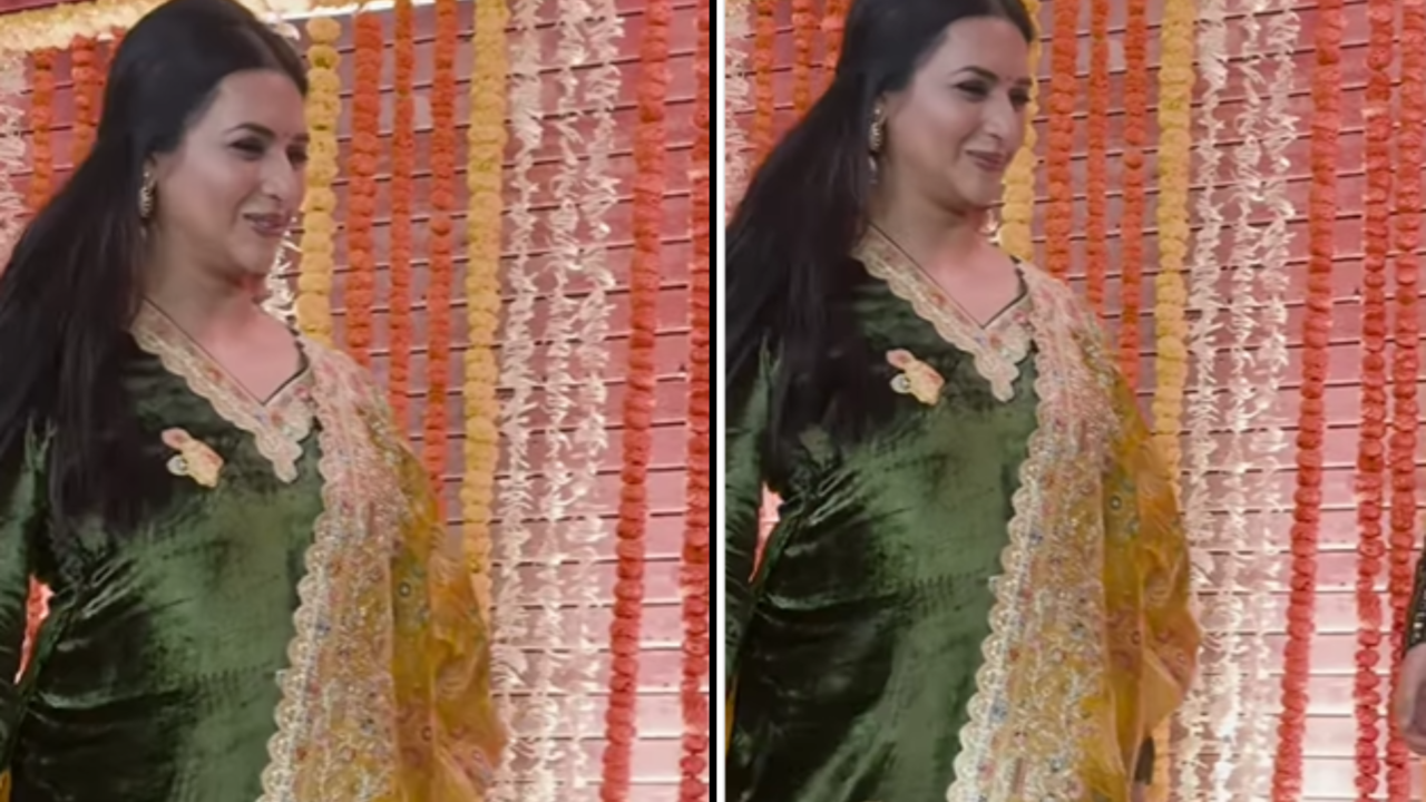 Divyanka Tripathi Pregnant?