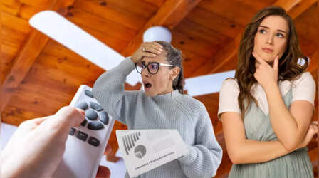 Ceiling Fan: ठंड में कम स्पीड पर चला रहे हैं पंखा, जानें क्या बिजली बिल भी होगा कम