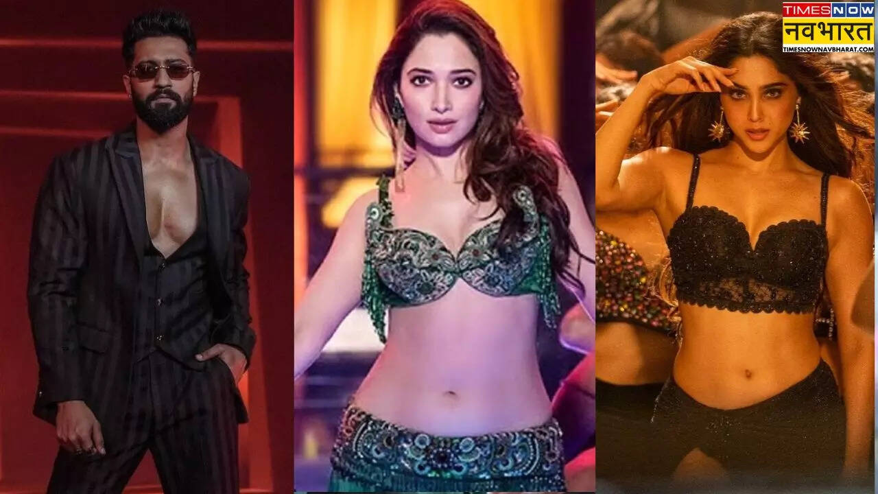 Year Ender Top 10 Bollywood Songs 2024