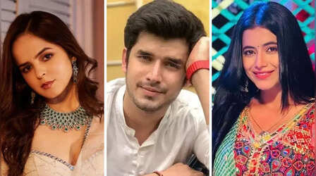 मेकर्स की अकड़ ने इन TV सितारों के करियर पर गिराई गाज, पहाड़ जैसे घमंड के आगे फीकी पड़ी सालों की मेहनत