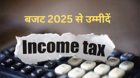 Budget Expectations 2025: अर्थशास्त्रियों ने पीएम से की इनकम टैक्स दरों में कटौती की मांग,जानिए क्या चाहता है उद्योग जगत