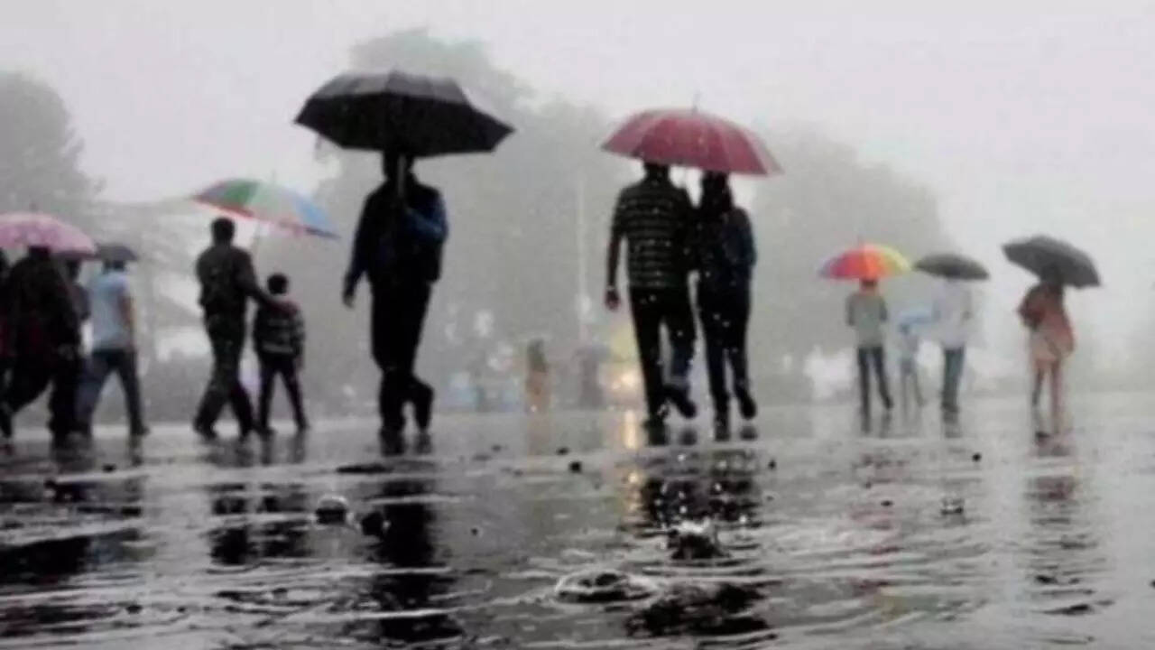 Rain in Haryana