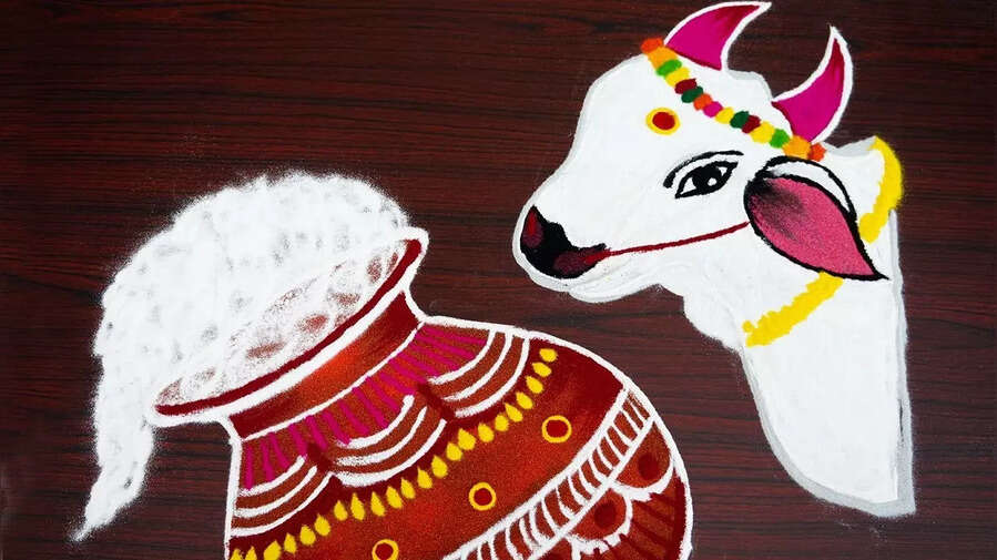Pongal Festival 2025 Rangoli Design Live गाय माता की रंगोली पोंगल के लिए