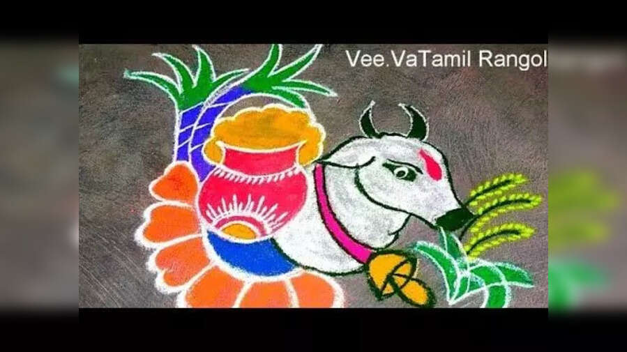 Pongal 2025 Rangoli Muggulu Design Live गाय माता पेड़ की रंग-बिरंगी रंगोली फॉर पोंगल 2025