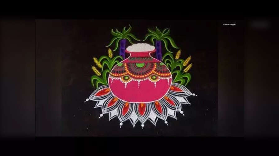 Pongal 2025 Rangoli Muggulu Design Live रंग-बिरंगी रंगोली पोंगल