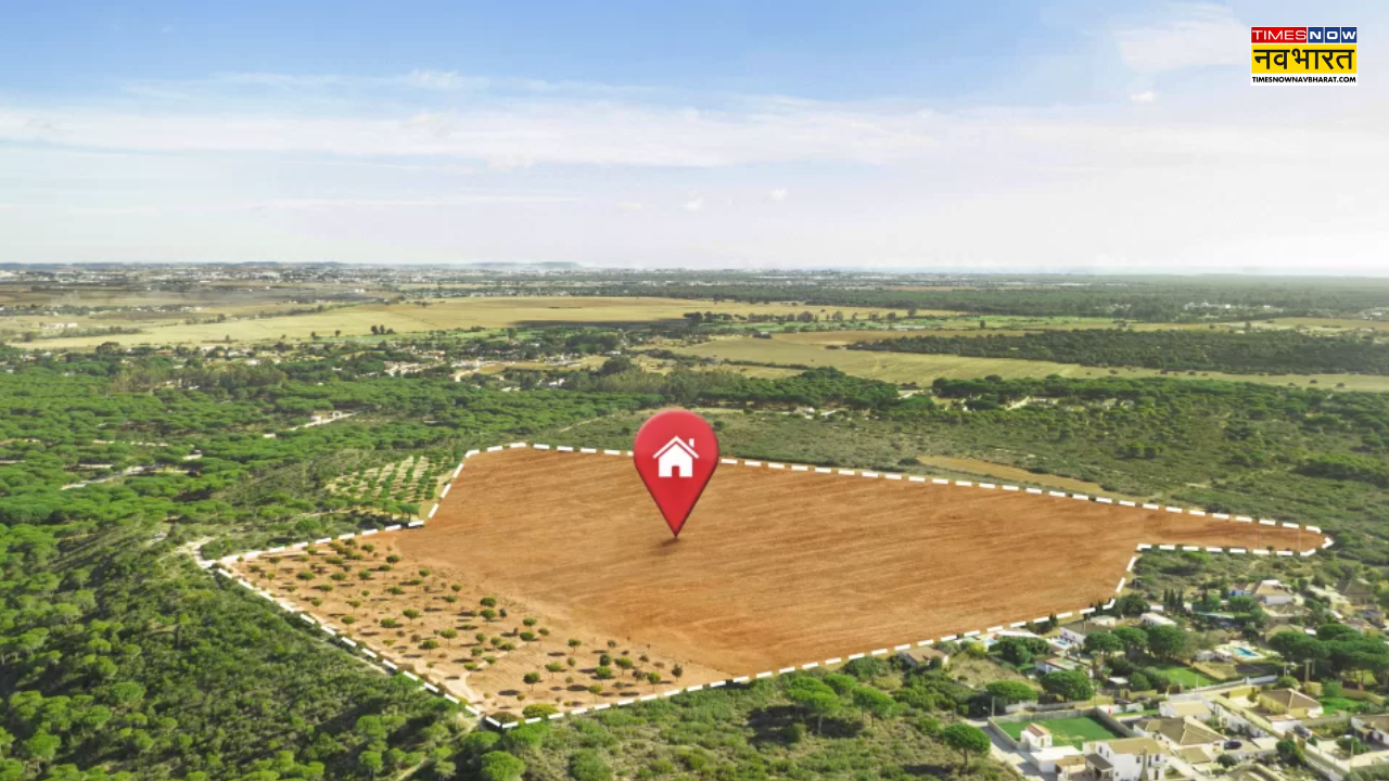 Noida Authority allotted population plots