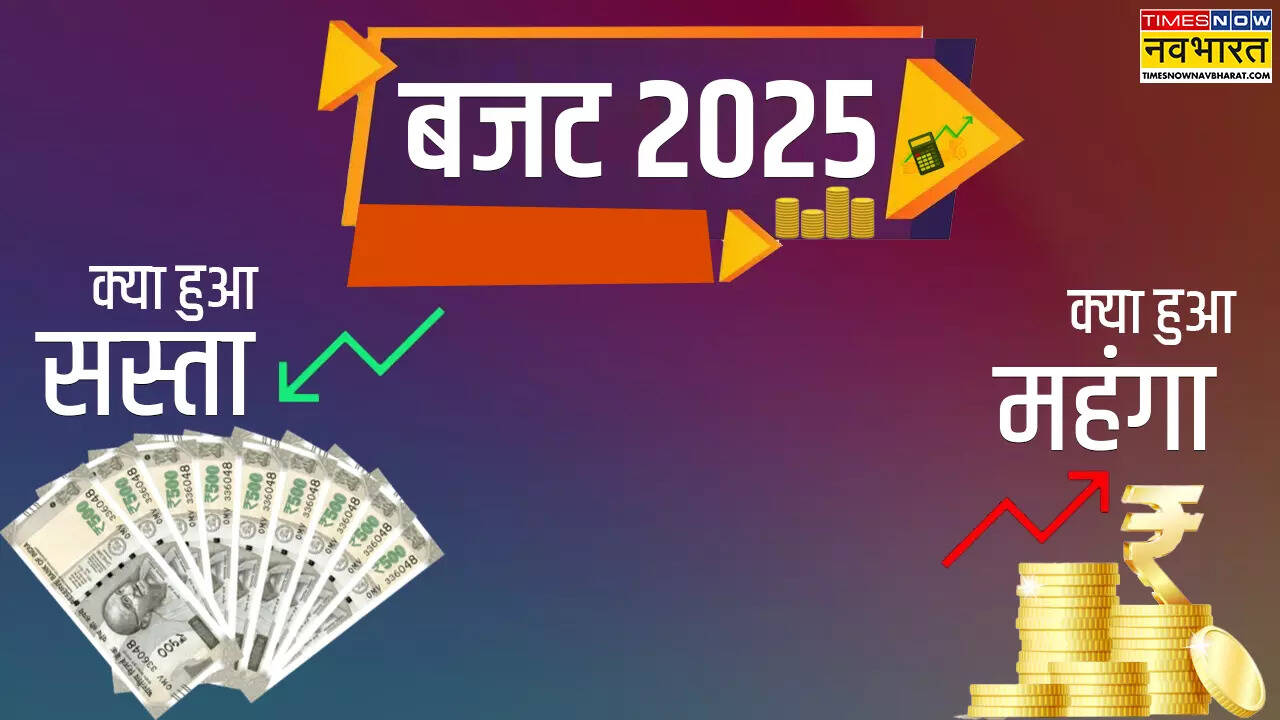 Cheaper and Costlier Items Full List Budget Mein Kya Sasta Kya Mehnga
