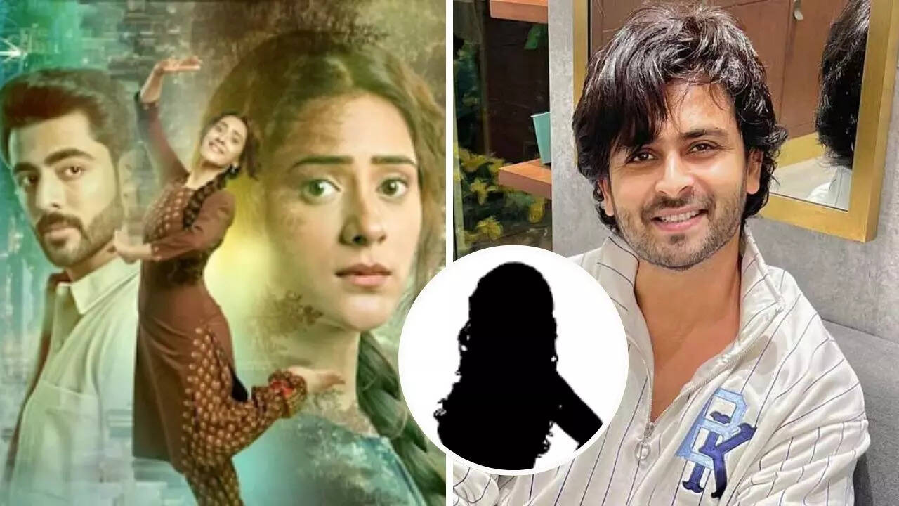 'झनक' में कदम रखने के लिए तैयार हैं शोएब इब्राहिम?