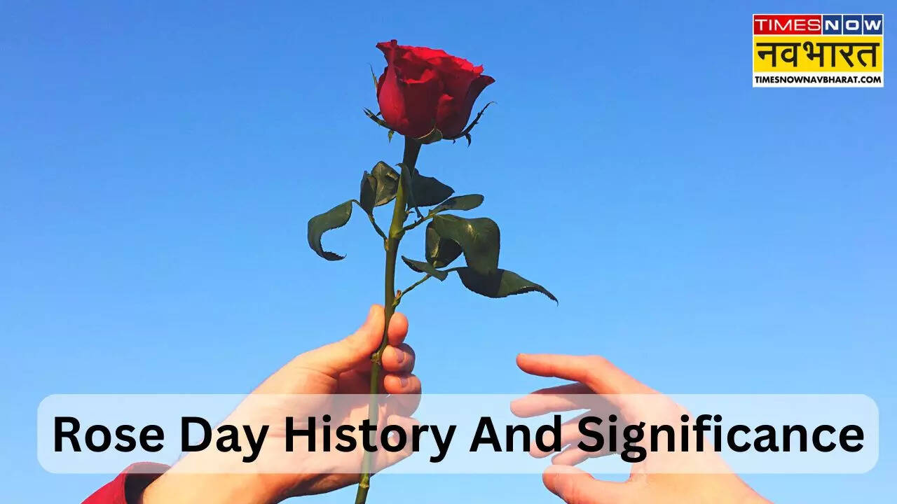 Rose Day History And Significance In Hindi