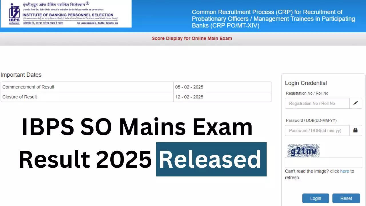 IBPS SO Mains Exam Result 2025 Released