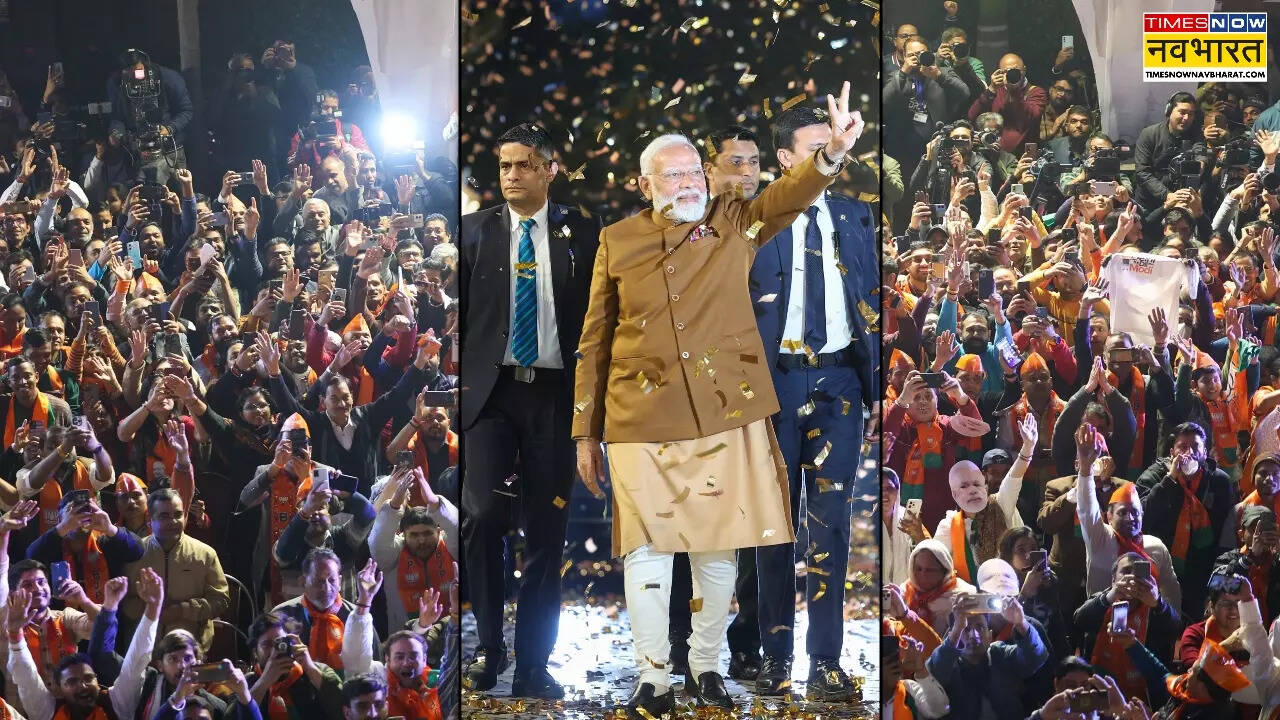 BJP After Lok Sabha Elections