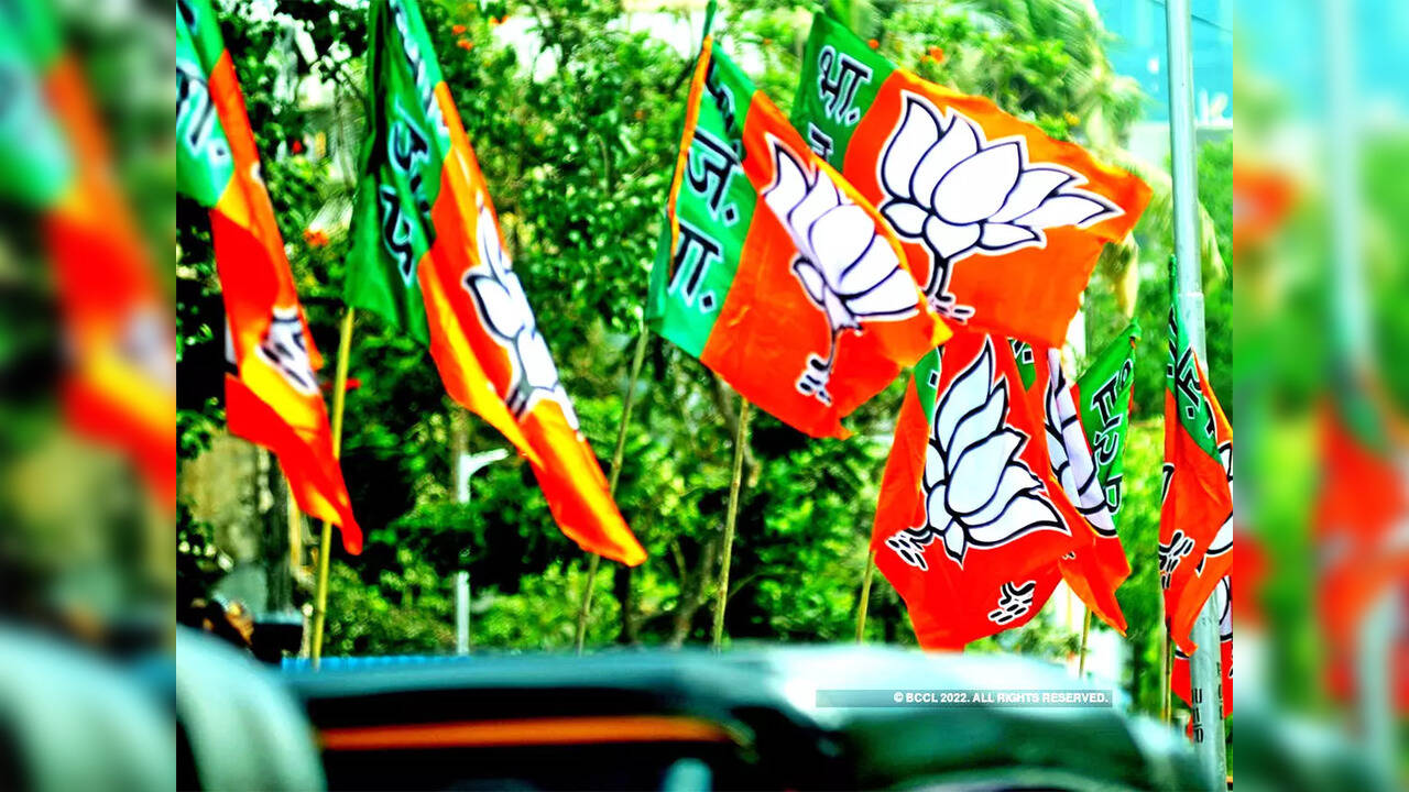 BJP FLAG