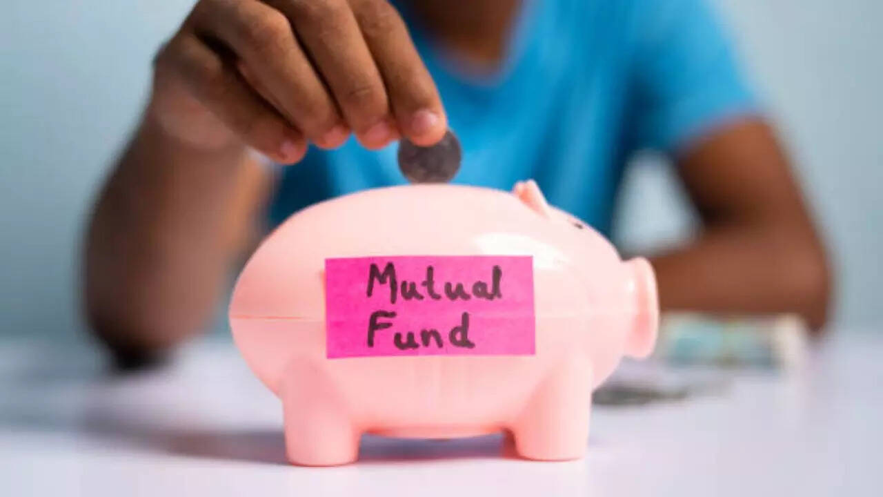 Value Mutual Fund