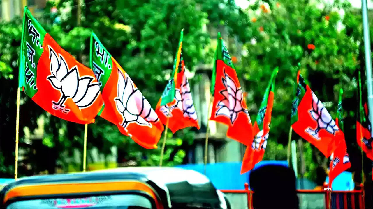 bjp Flag News