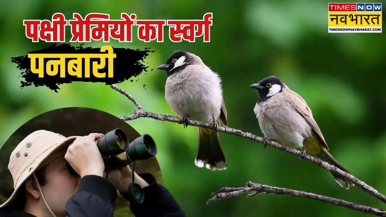visit panbari reserve forest