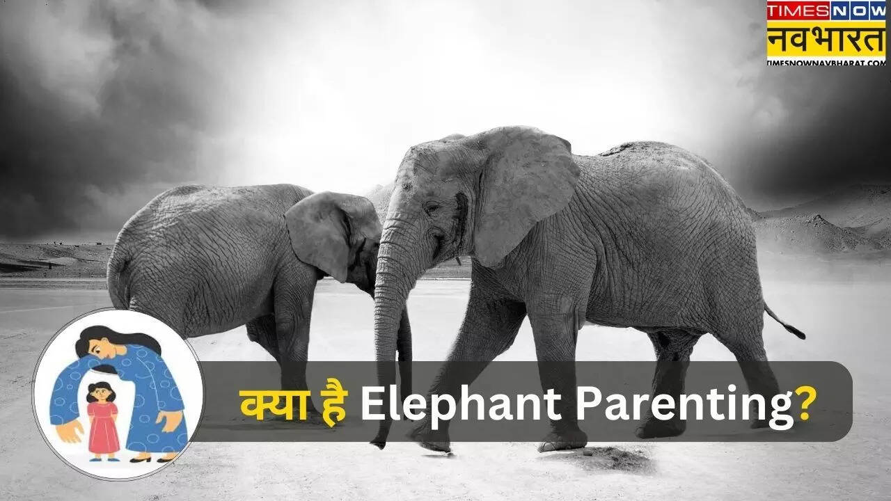 What is Elephant parenting