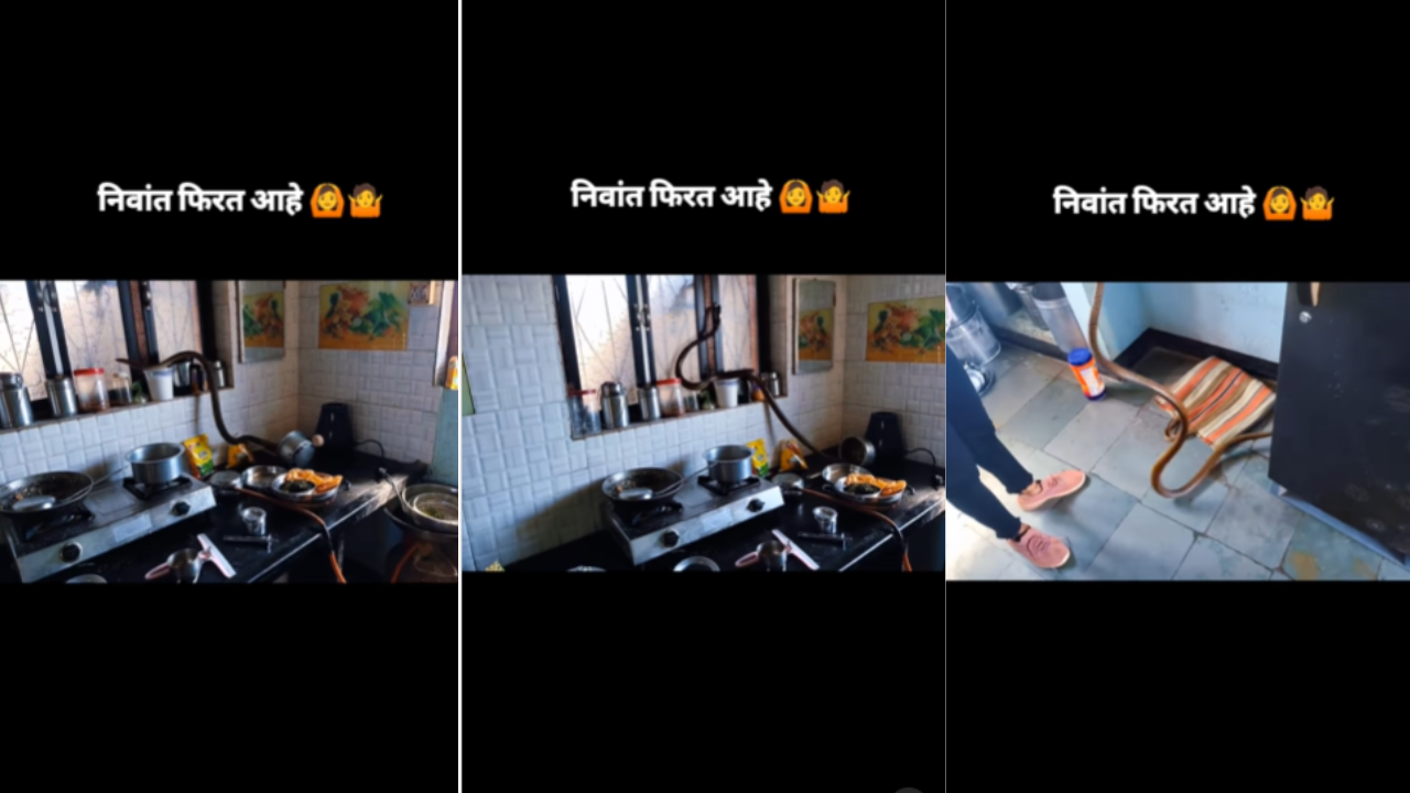 saanp ka video