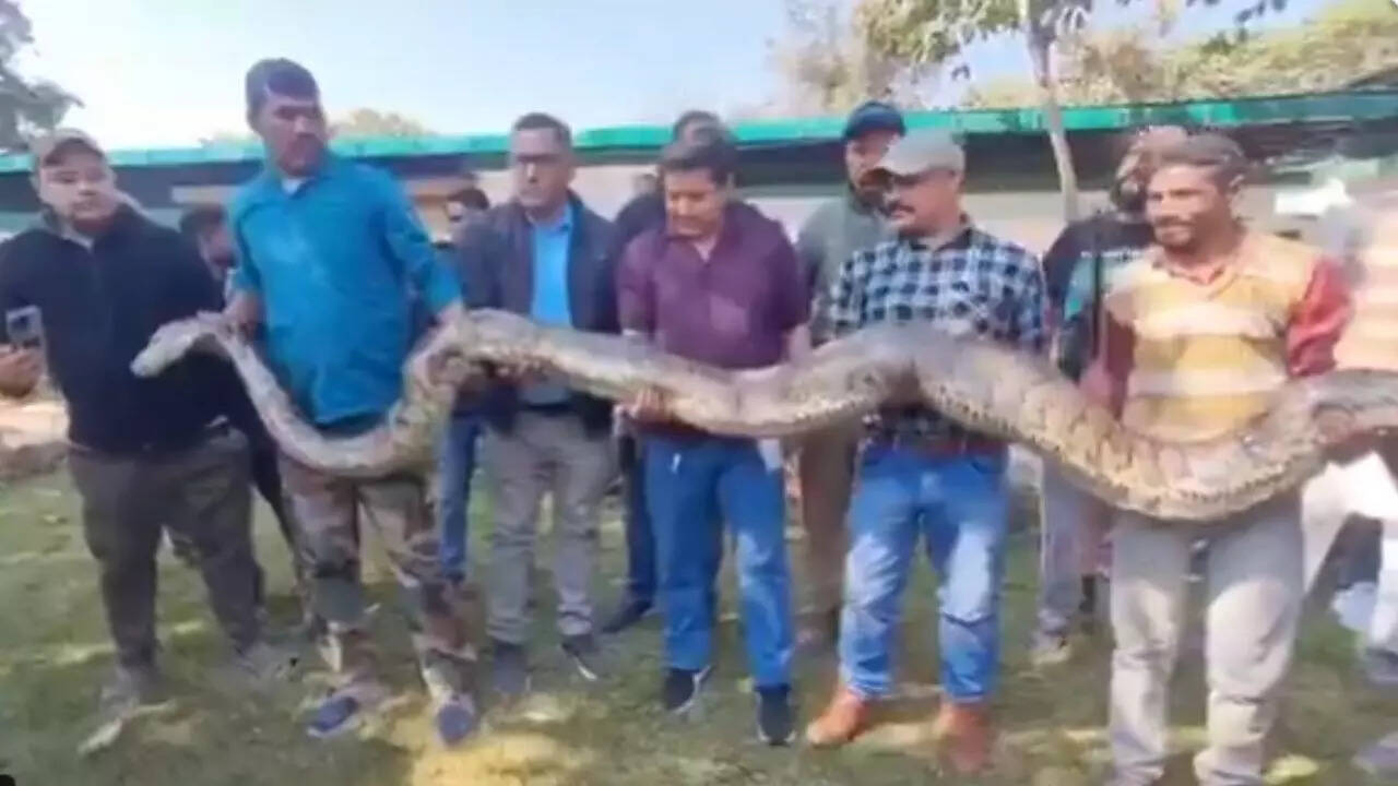 Python Video