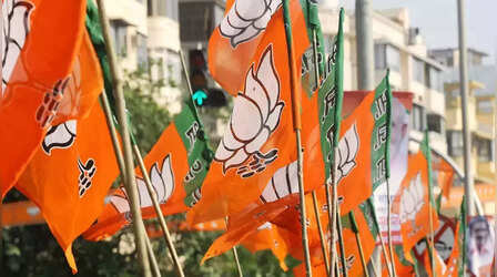 Delhi New CM Face : दिल्ली में किसके सिर सजेगा ताज? सस्पेंस बरकरार, CM पद की रेस में हैं ये चेहरे