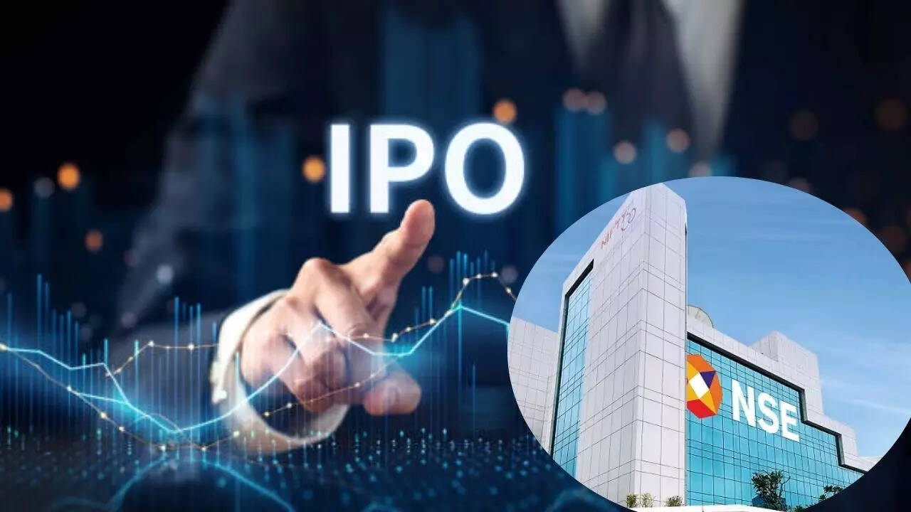 Indian IPO Market in 2024