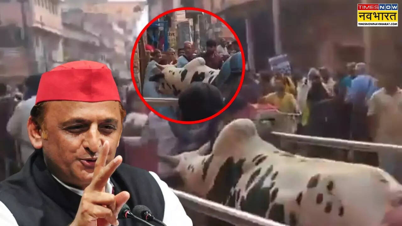 Akhilesh Yadav on Bull in Row Kashi Vishwanath Mandir