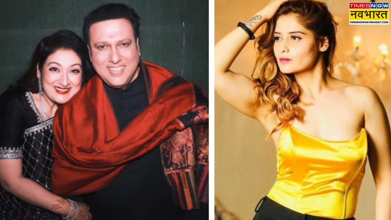Govinda Sunita Divorce Arti Singh