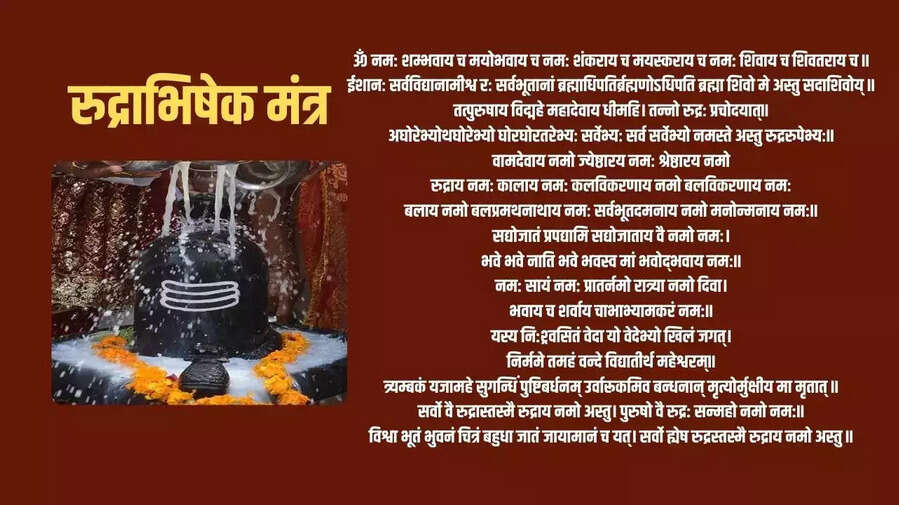Rudrabhishek Mantra रुद्राभिषेक मंत्र