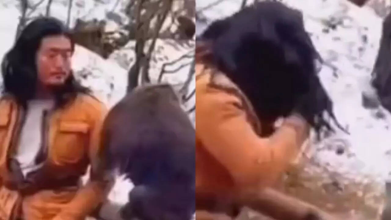 Funny Fight Video
