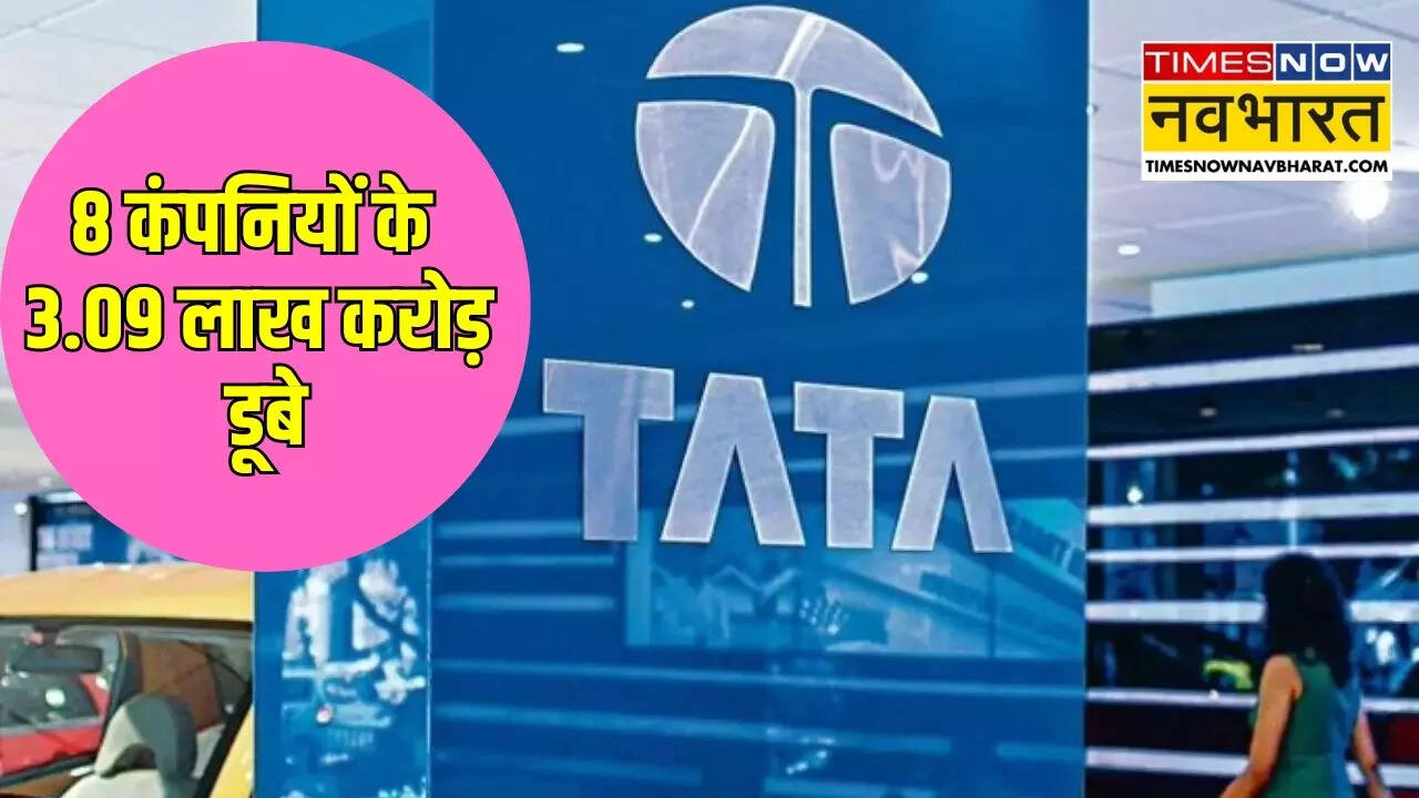 Sensex Fall, Stock Market Update, TCS Market Cap