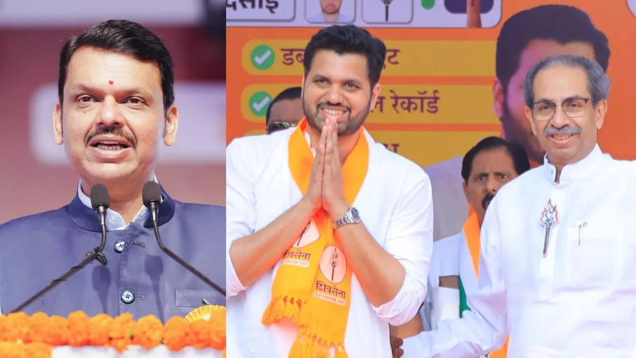 Fadnavis Varun Sardesai