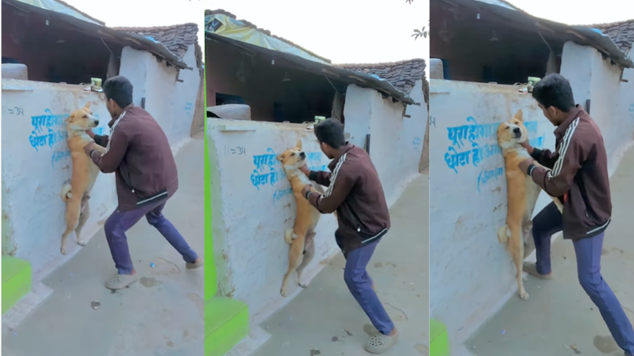 Man Attack on dog