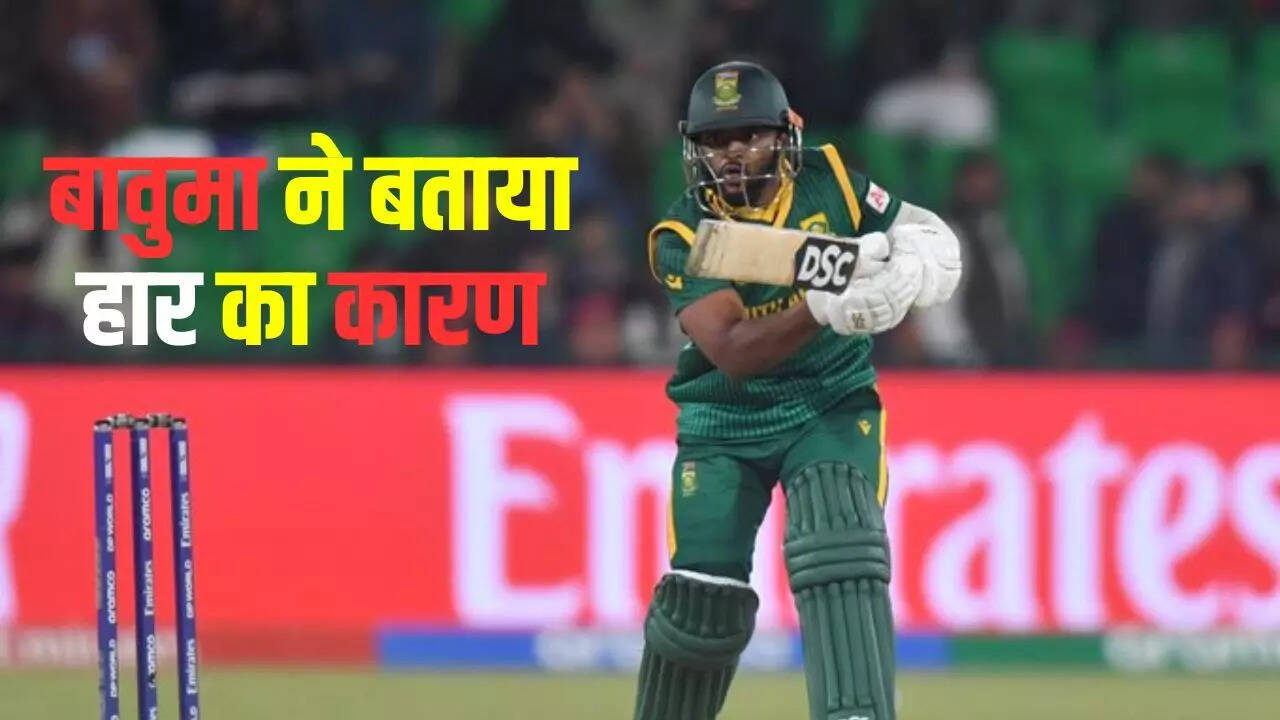nz vs sa highlights