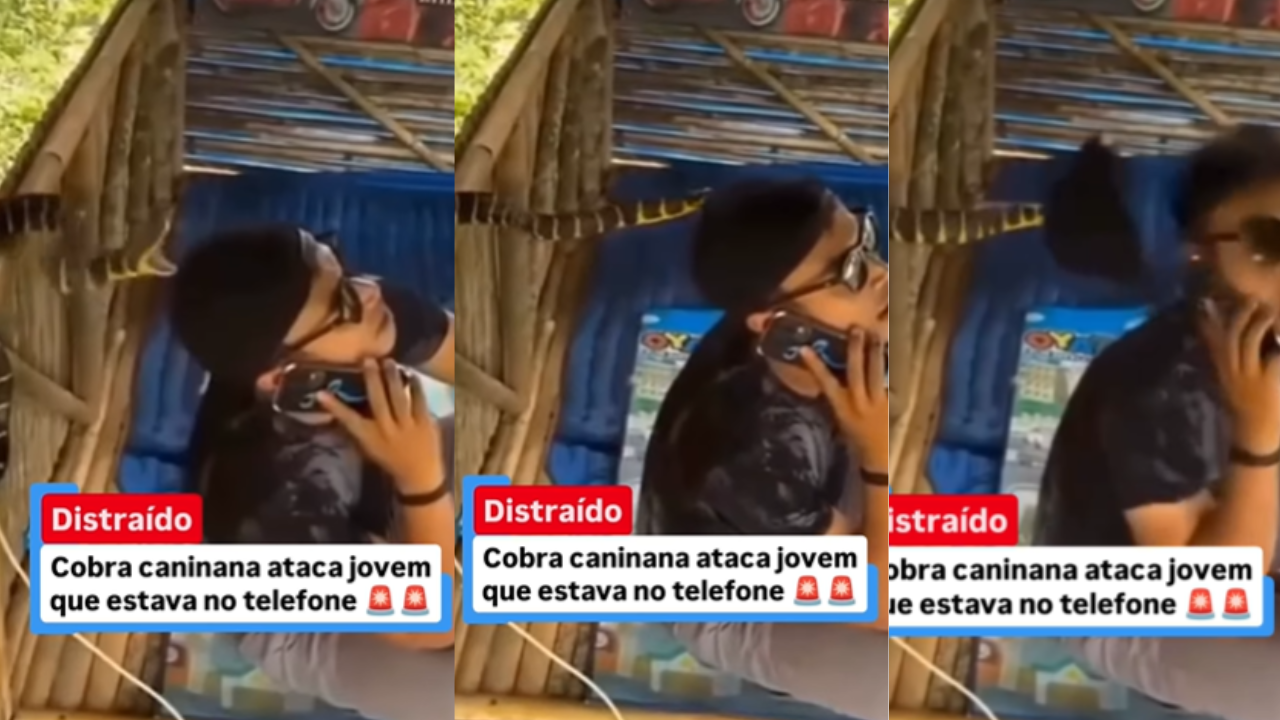snake attack viral video