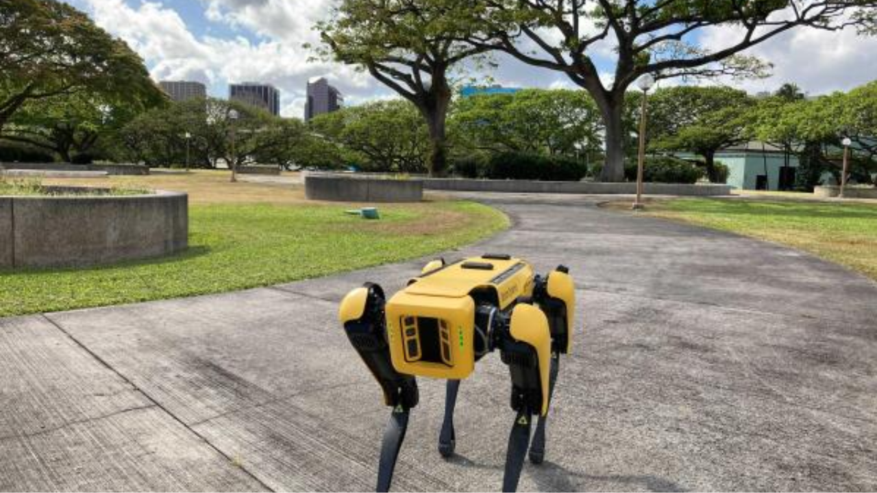 Robot dogs