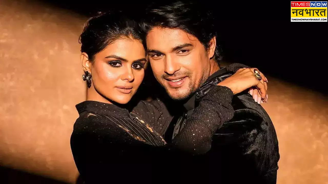 Priyanka Chahar Choudhary-Ankit Gupta Breakup