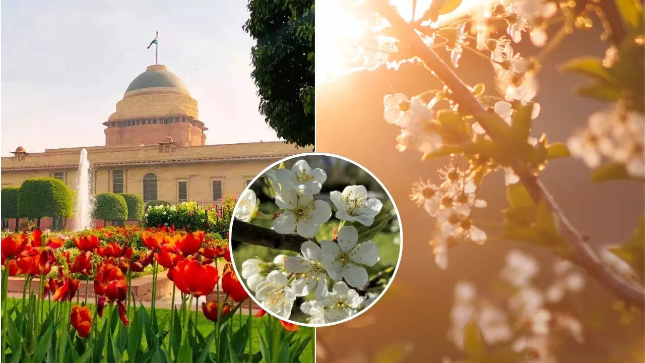 Spring In Delhi
