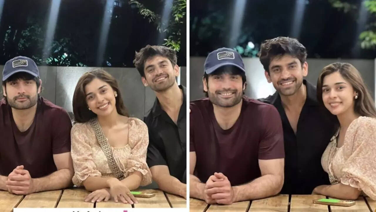ईशा सिंह और अविनाश मिश्रा के साथ हुआ विवियन डीसेना का रियूनियन