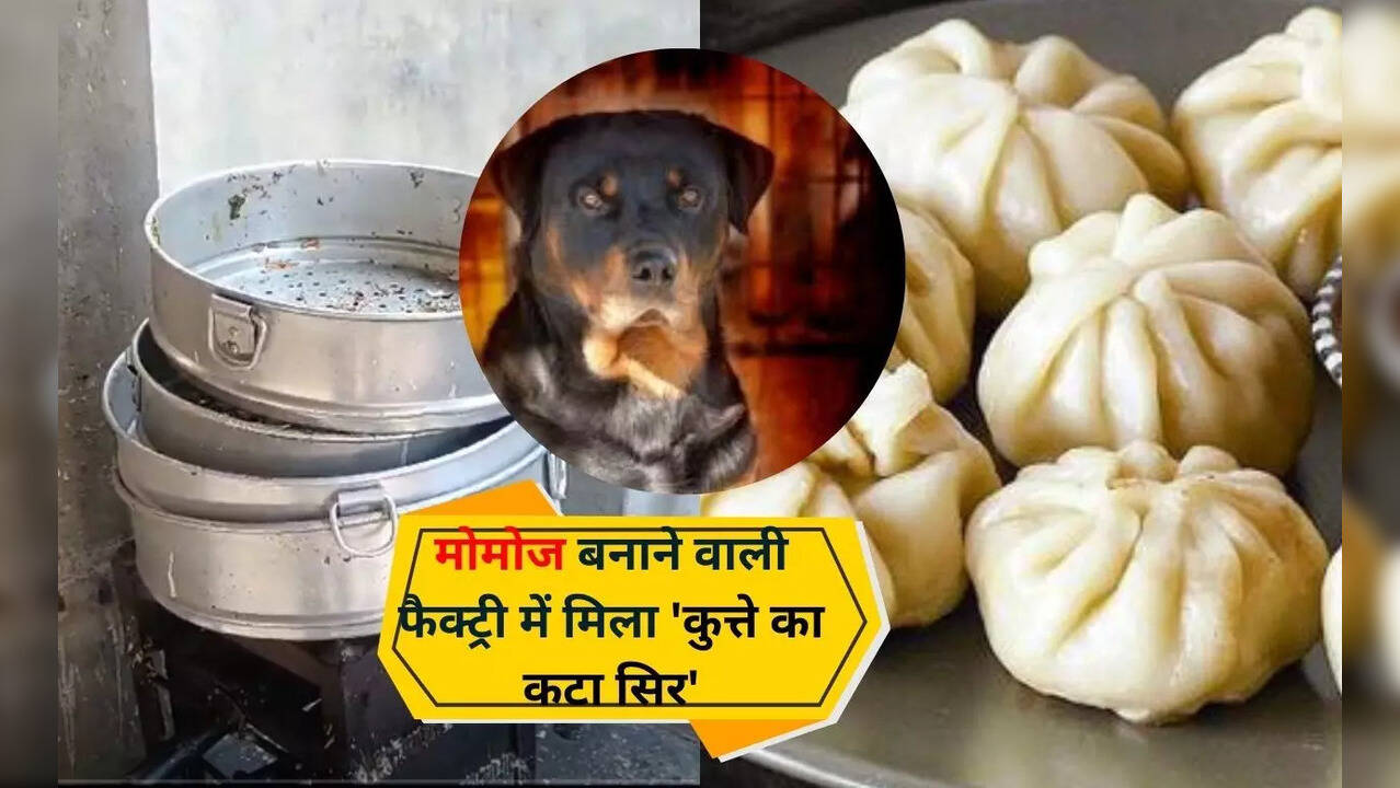Mohali Momos factory viral video