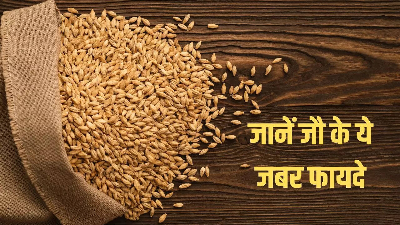 jau ke fayde in hindi, jau in english