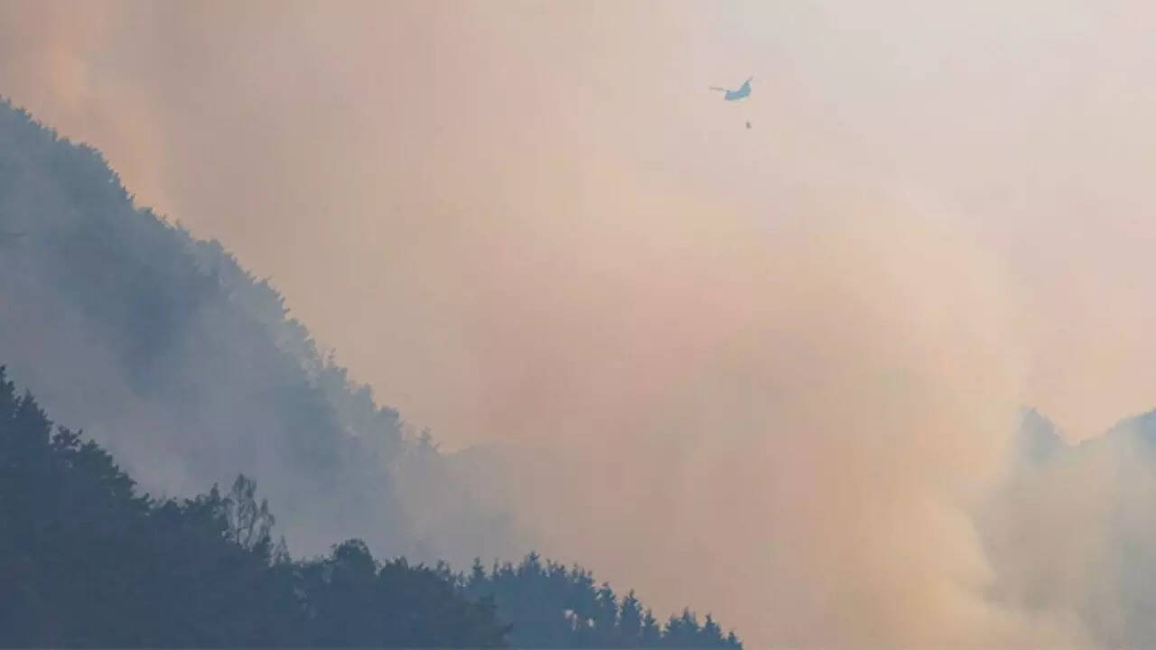 South Korea Wildfires