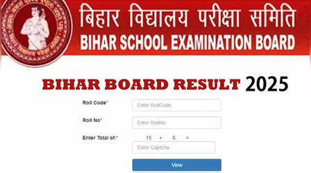 BSEB Bihar Board 12th Inter Result 2025: बिहार बोर्ड 12वीं इंटर रिजल्ट हुआ जारी, इस डायरेक्ट लिंक से करें चेक
