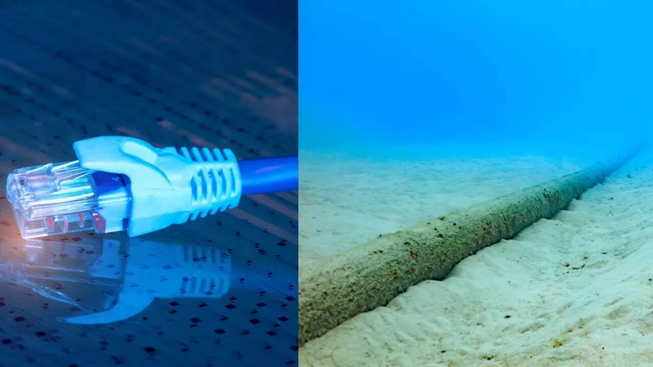 Submarine cable networks