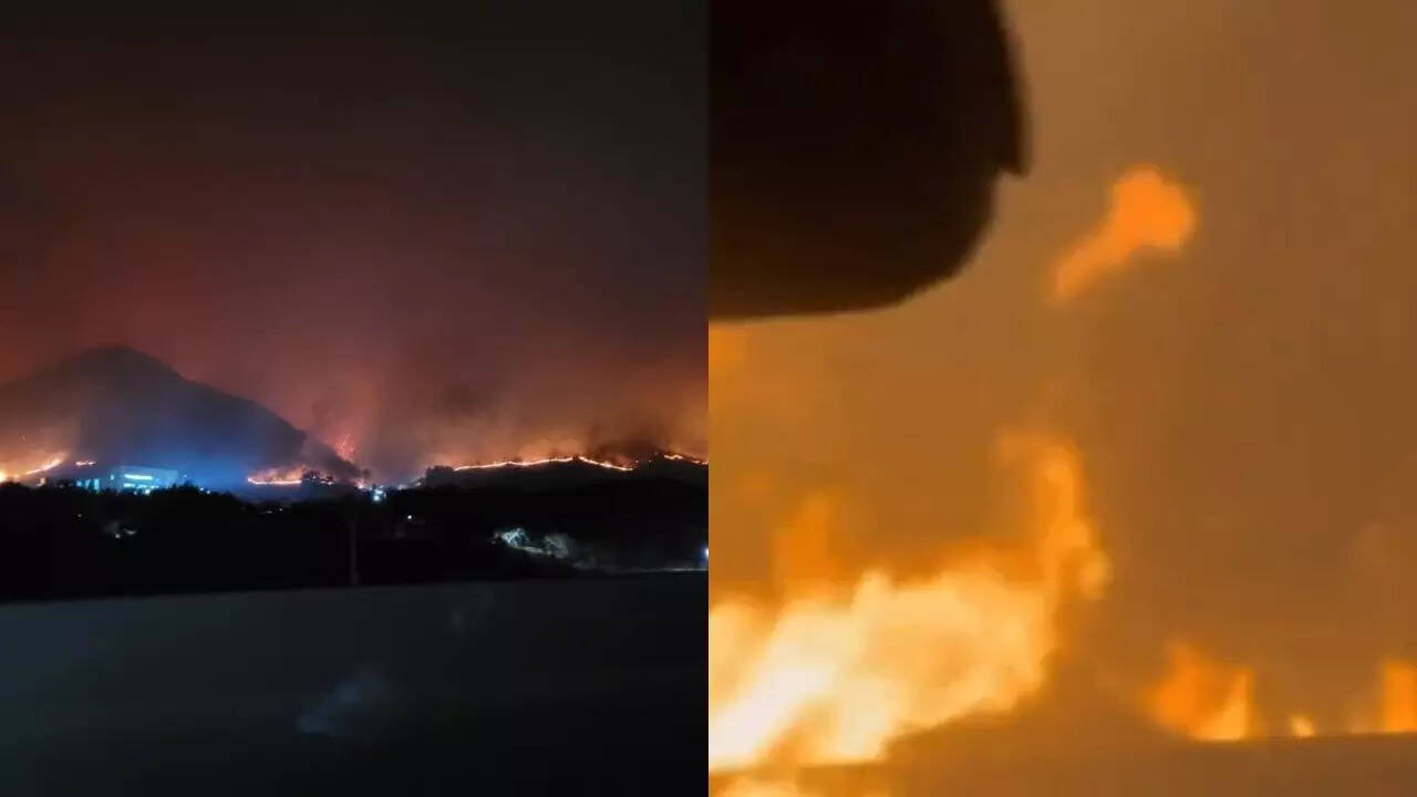 Wildfires in South Korea