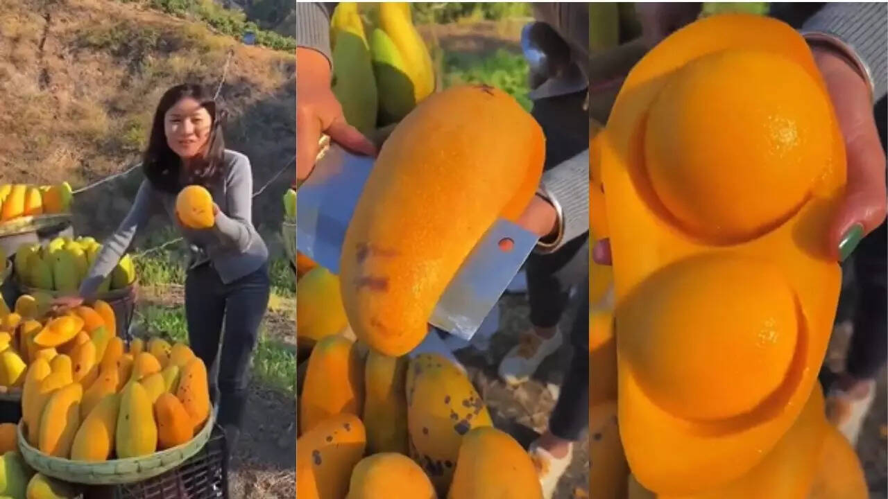 Mahachanok Mango With No Seed